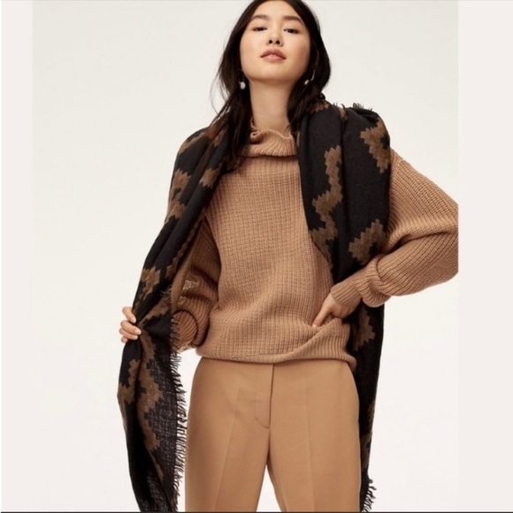 Aritzia Blanket Scarf - Picture 6 of 10